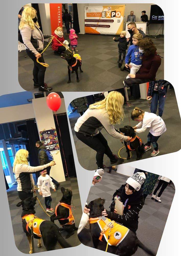 zajęcia z psem w szkole przedszkolu